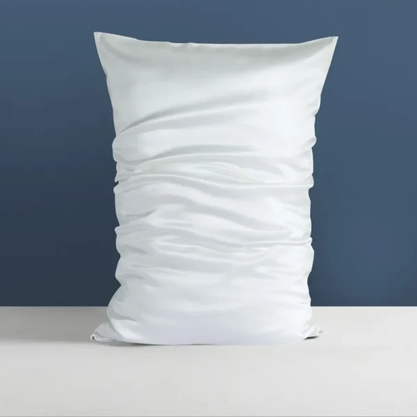 Silk Suen 22mm Mulberry Silk Pillowcase - Ivory