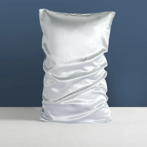 Silk Suen 22mm Mulberry Silk Pillowcase - Silver