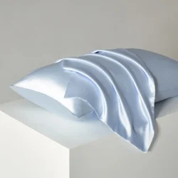 Silk Suen mulberry silk pillowcase zip closure baby blue